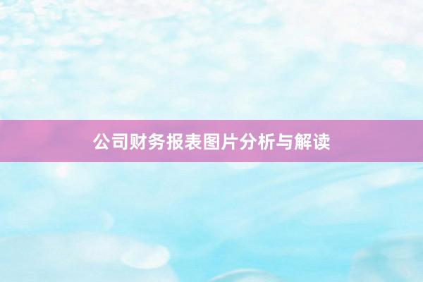 公司财务报表图片分析与解读